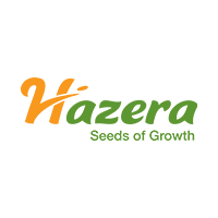hazera